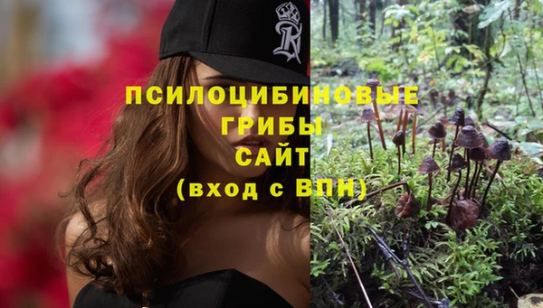 скорость Абаза